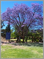 Zoo Park