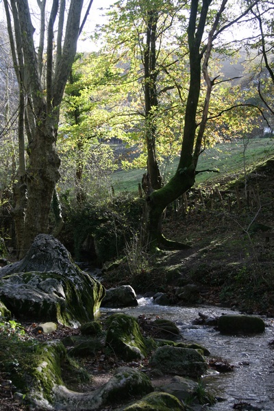 Paisaje Navarro