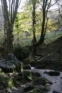 Paisaje Navarro