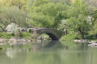 Central Park Bridge