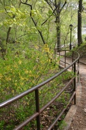 Central Park path