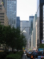 Park Avenue
