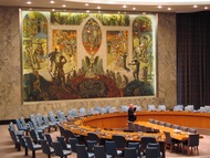 Security Council