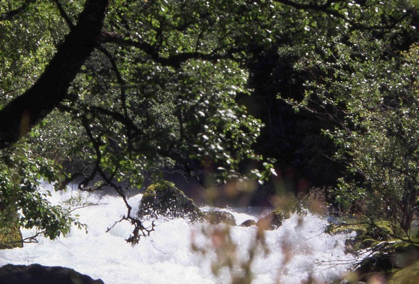 Briksdal waters