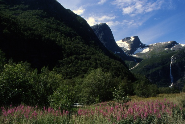 Olden Valley