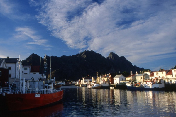 Henningsvr Harbour