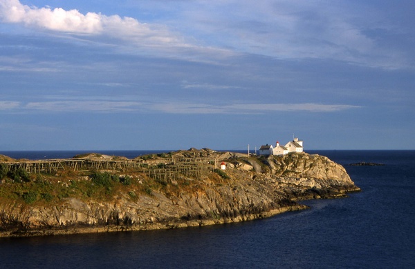 Henningsvr Dried Fish Farm