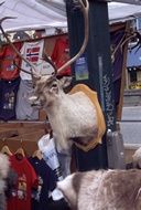 Torget at Bergen