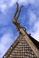 Roof Detail