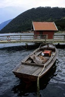Aurlandsfjord
