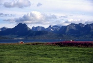 Verteralen Islands