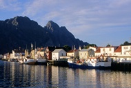 Henningsvr Harbour