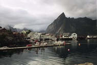 Reine