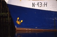 Yellow Anchor