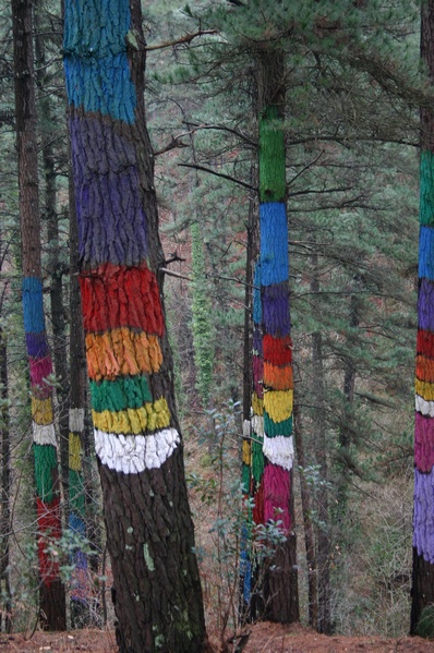 Bosque Encantado