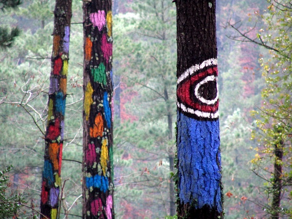 Bosque de Oma