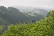 Paisaje de Montaa