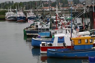 Puerto Pesquero