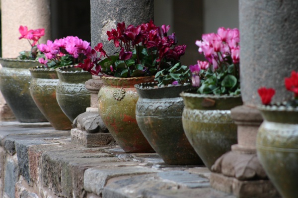 Macetas y columnas