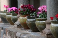 Macetas y columnas