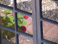 Reflejos en la ventana