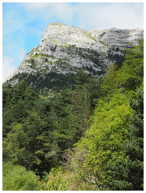Valle del Aragn