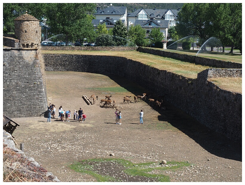 Castillo de San Pedro