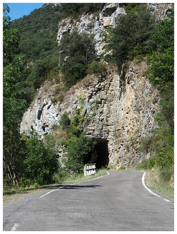 Foz de Binis