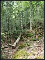 Ordesa