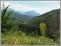Valle de Vi