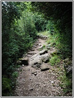 Valle de Vi