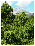 Valle de Ans