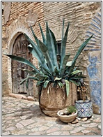 Alquzar