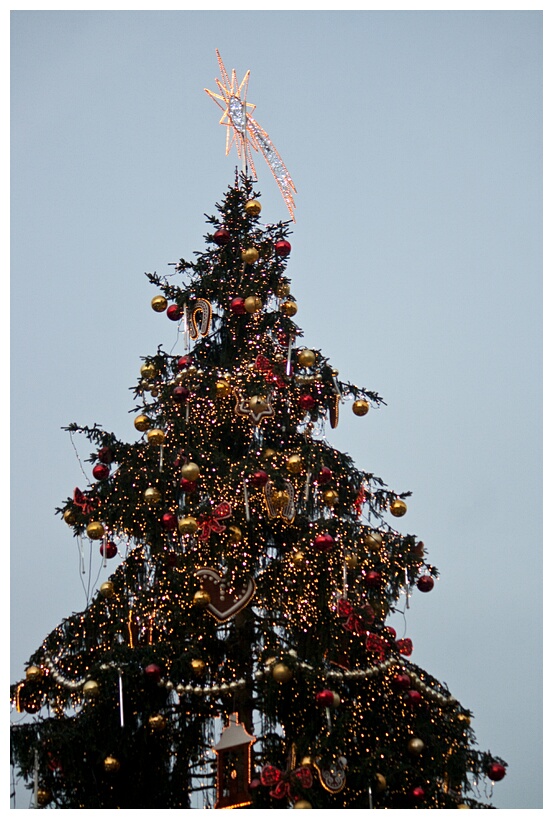 Christmas Tree