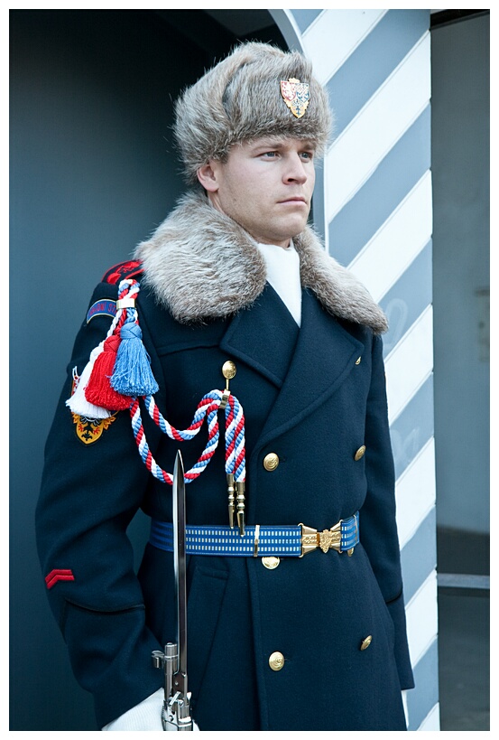 Castle Guard
