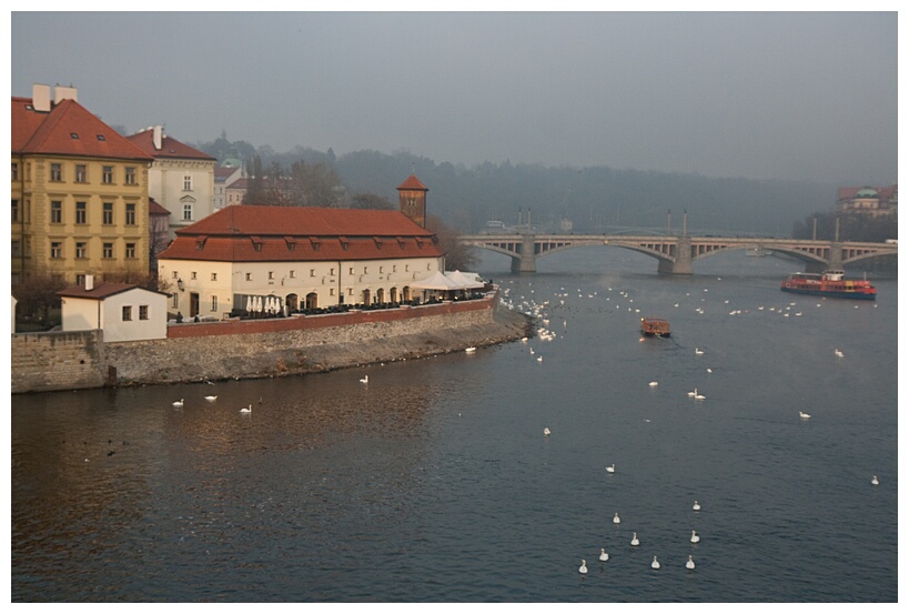 Kafka Museum