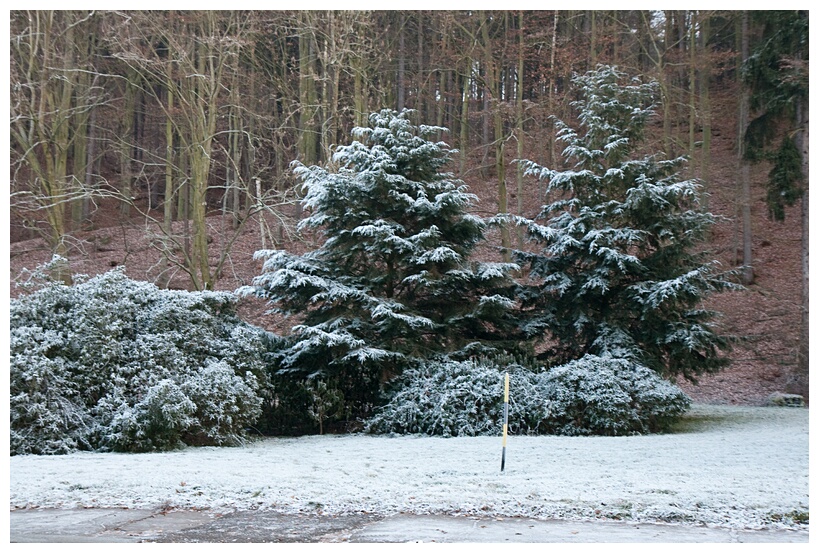 Frozen Park
