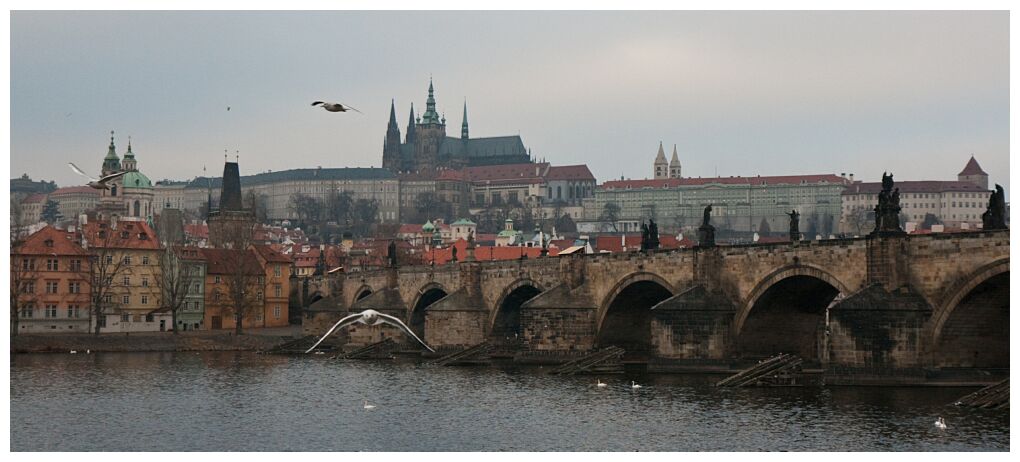 Charles Bridge