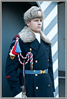 Castle Guard