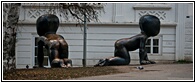 Crawling Babies