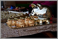 Golden Pigs