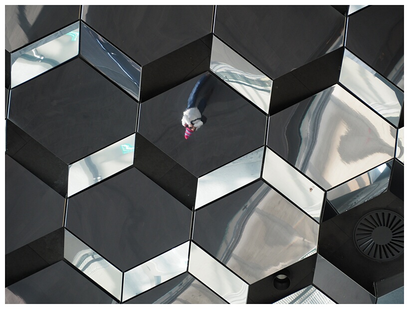 Glass Roof