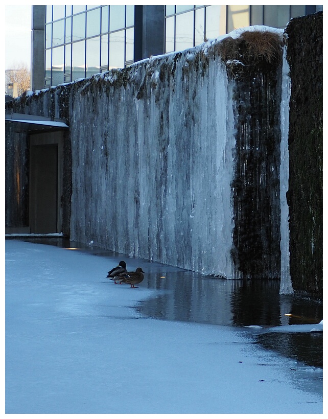 Ice