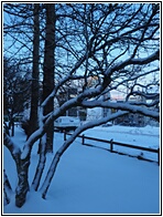 Snowfall