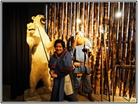 Saga Museum