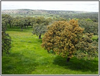 Parque de Riofro