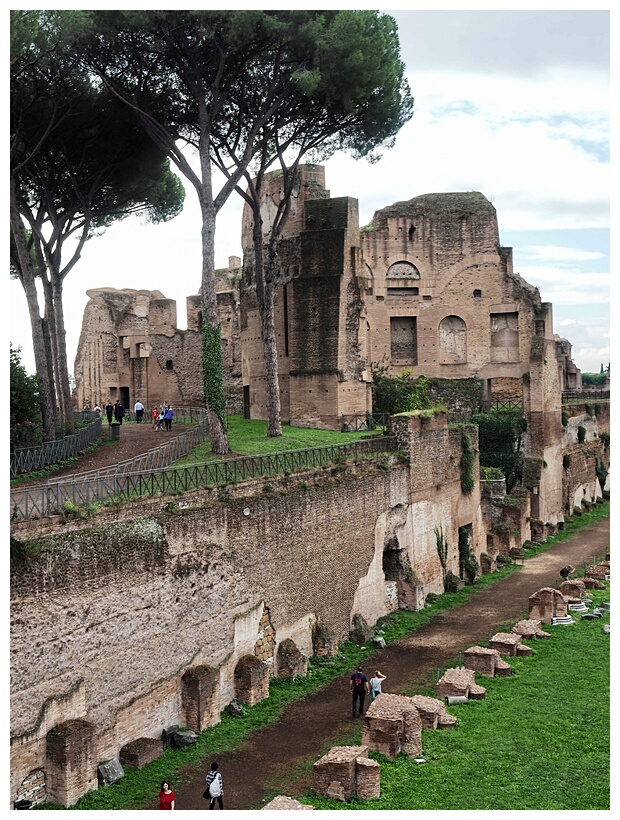Palatino