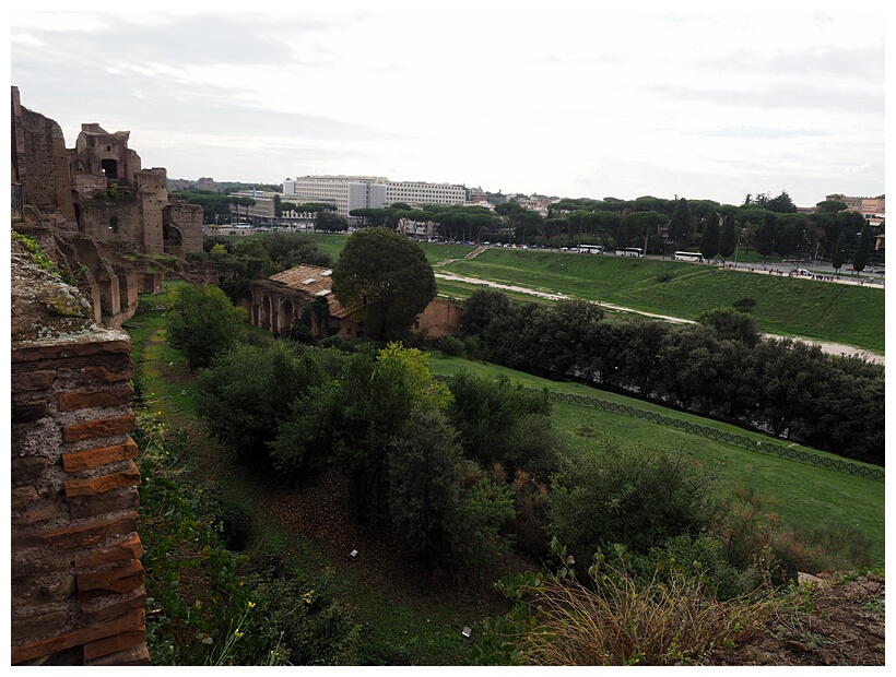 Palatino
