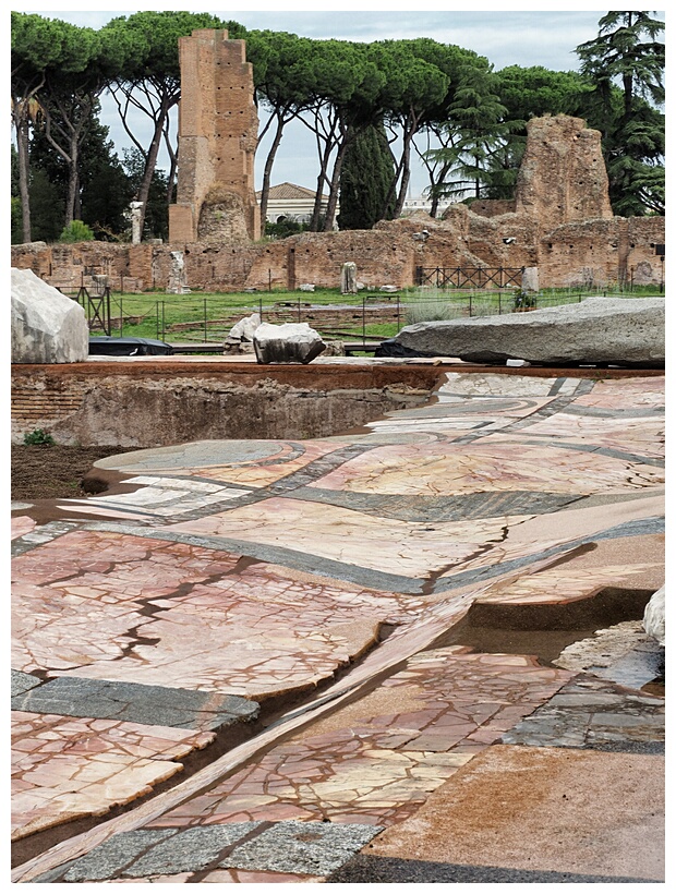 Palatino