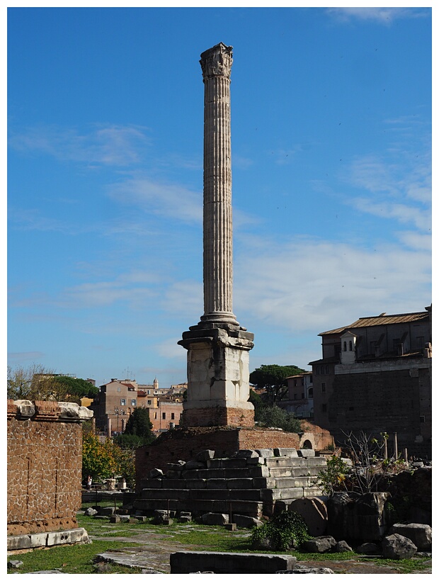 Colonna di Foca